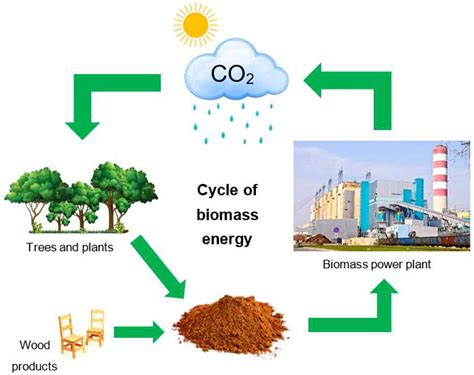  Charcoal:  A Sustainable Fuel Source for Industrial Power Generation and Residential Heating?