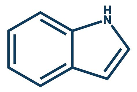 Quinoline! The Versatile Aromatic Heterocycle in Pharmaceutical and Dye Industries!